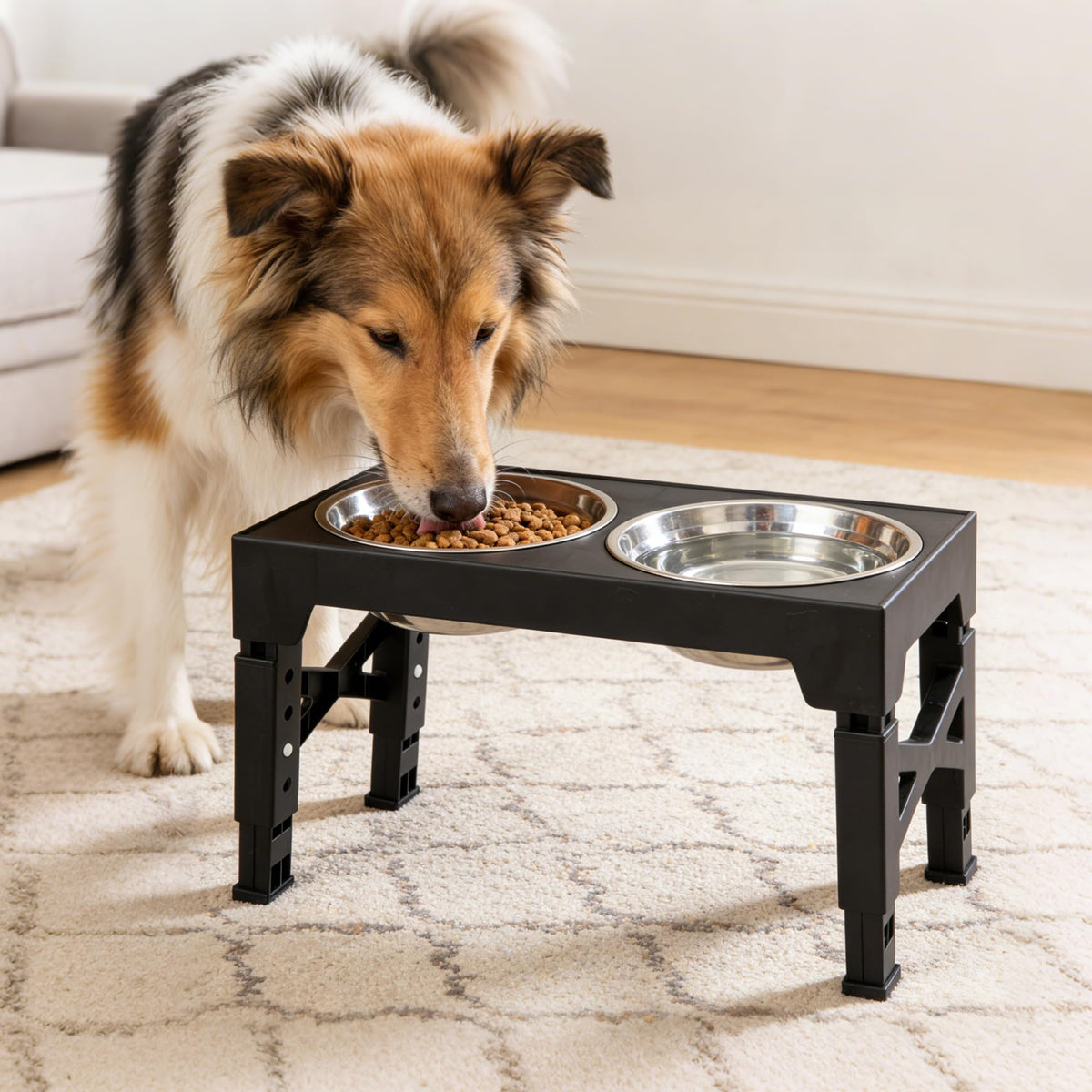 Adjustable Elevated Dog Bowl Stand